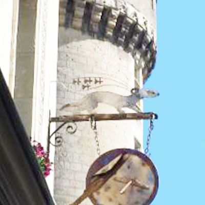 Photo d'illustration 2 sur 15