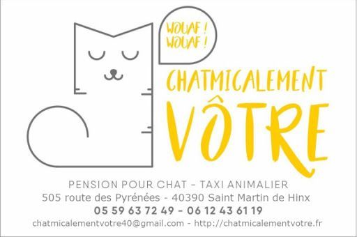 Photo d'illustration 3 sur 3