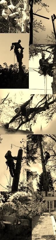 Photo d'illustration 2 sur 4