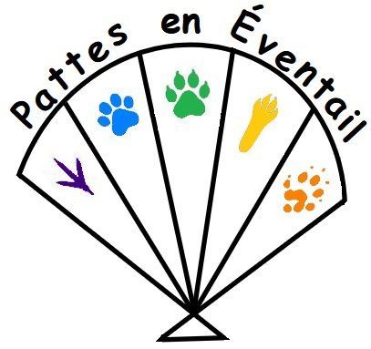 Photo d'illustration 1 sur 11