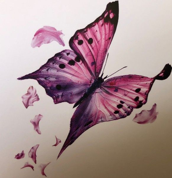 Photo d'illustration 1 sur 5