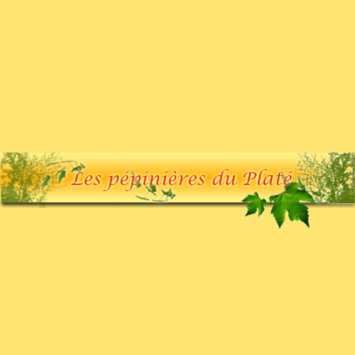 Photo d'illustration 1 sur 2