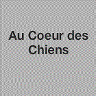 Photo d'illustration 1 sur 20