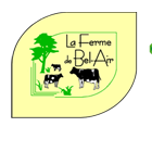 Photo d'illustration 1 sur 7