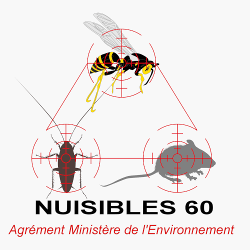Photo d'illustration 1 sur 1