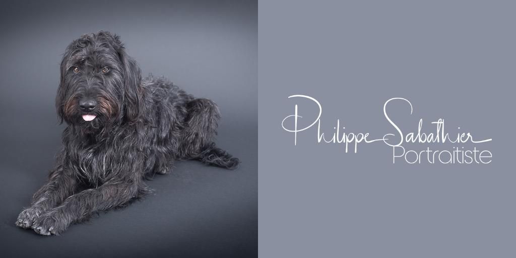 Photo d'illustration 4 sur 10
