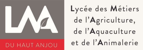 Photo d'illustration 1 sur 10