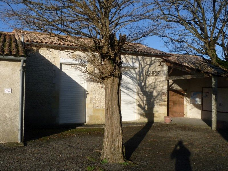 Photo d'illustration 1 sur 1
