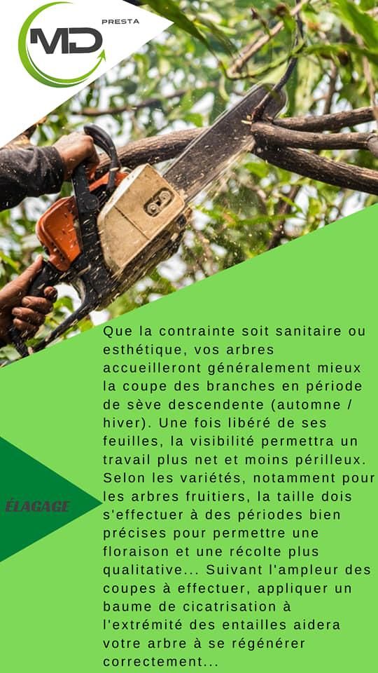 Photo d'illustration 4 sur 16