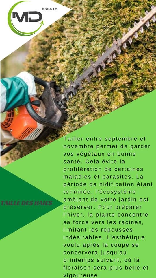 Photo d'illustration 3 sur 16
