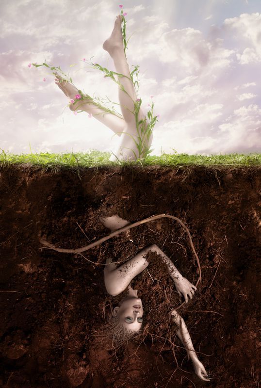 Photo d'illustration 4 sur 8
