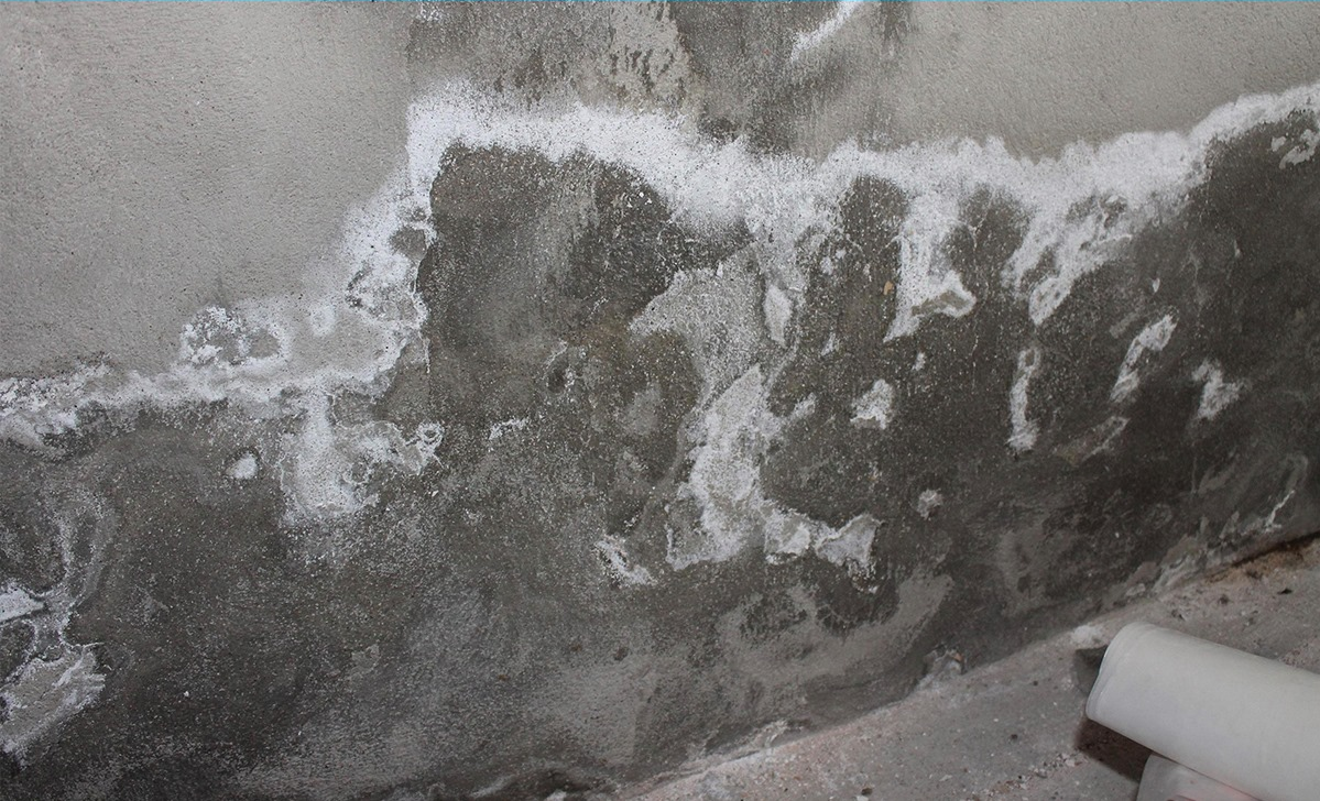 Photo d'illustration 4 sur 7