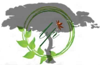 Photo d'illustration 1 sur 4
