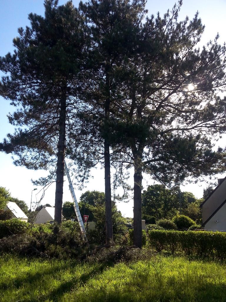 Photo d'illustration 2 sur 5