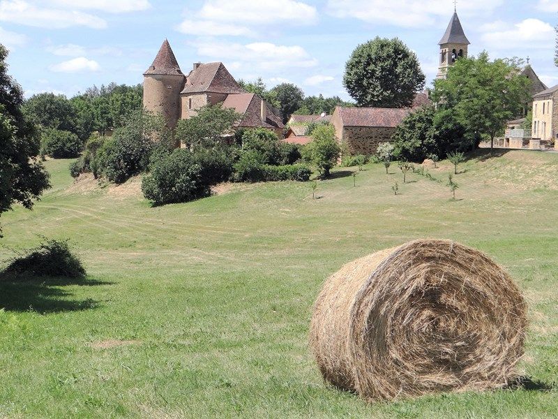 Photo d'illustration 1 sur 1