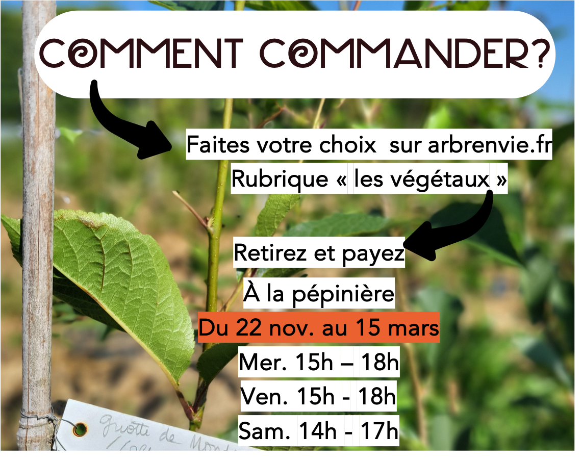 Photo d'illustration 2 sur 7