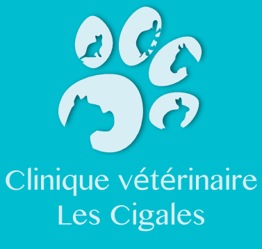 Photo d'illustration 1 sur 1