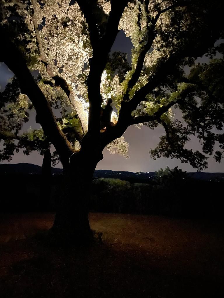 Photo d'illustration 2 sur 15