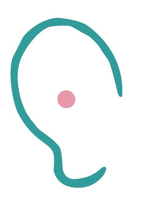 Photo d'illustration 3 sur 3