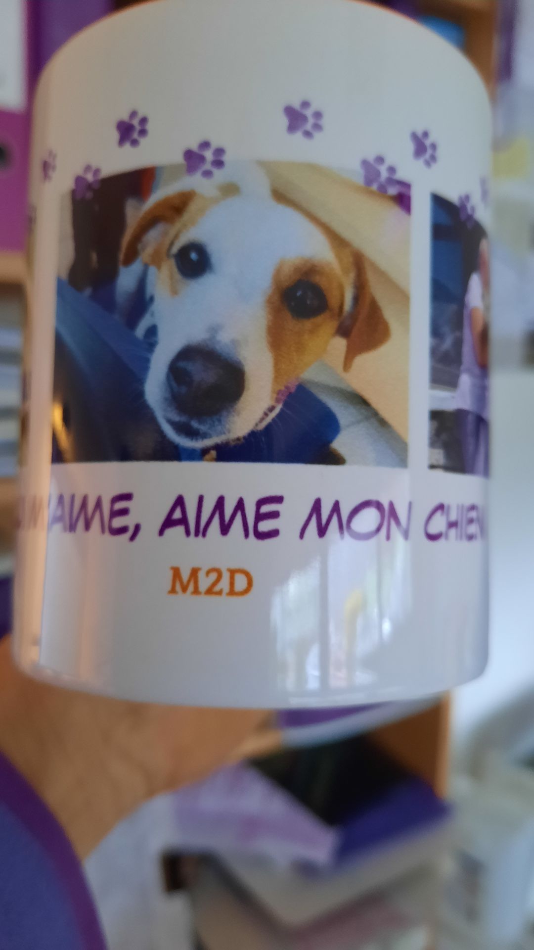 Photo d'illustration 4 sur 15