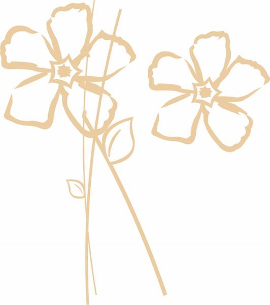 Photo d'illustration 1 sur 10