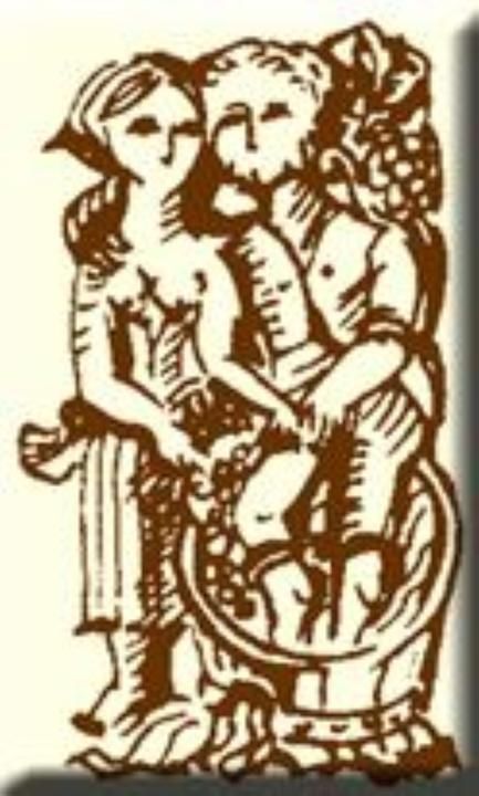 Photo d'illustration 1 sur 8