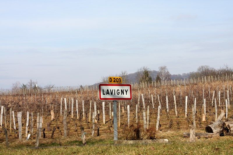 Photo d'illustration 1 sur 1