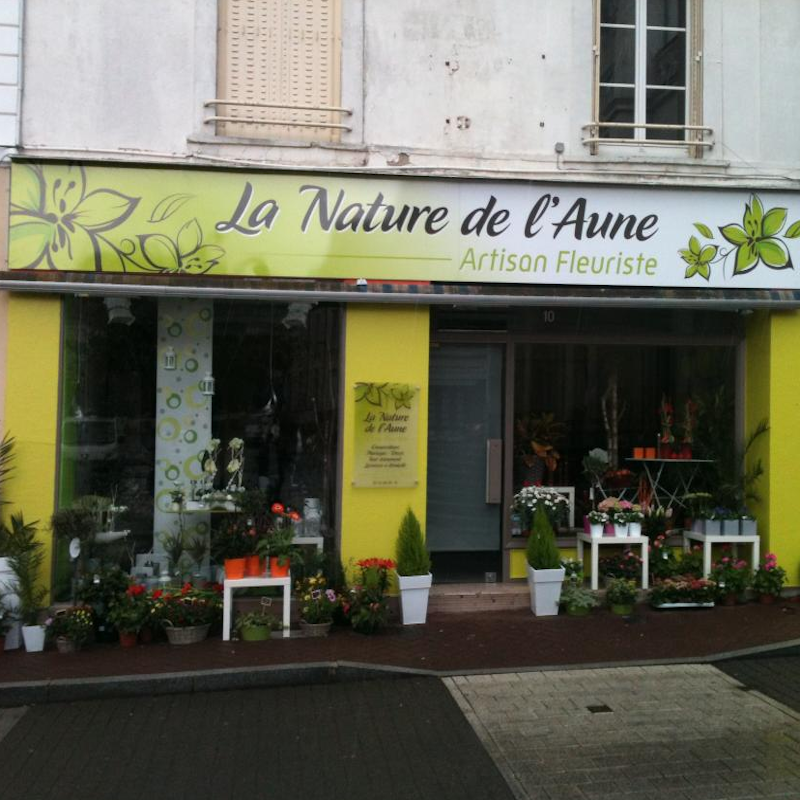 Photo d'illustration 3 sur 12