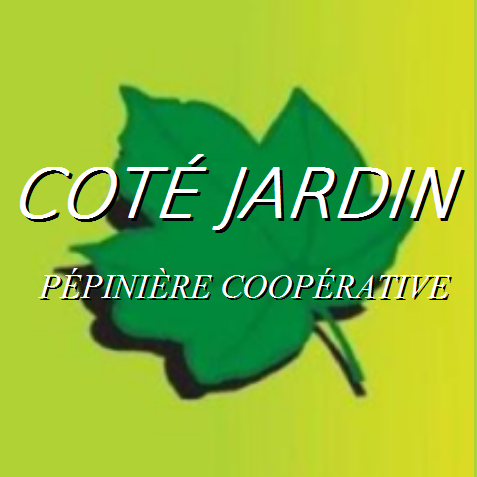 Photo d'illustration 1 sur 3