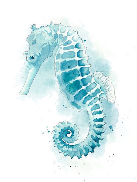 Photo d'illustration 1 sur 48