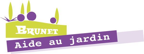 Photo d'illustration 1 sur 7
