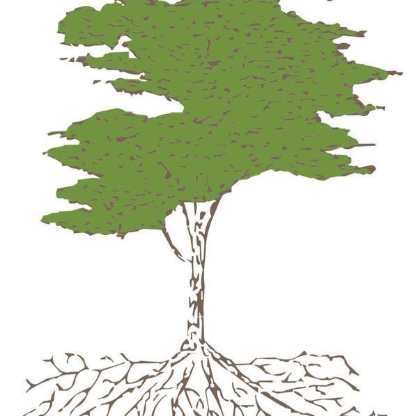 Photo d'illustration 1 sur 5