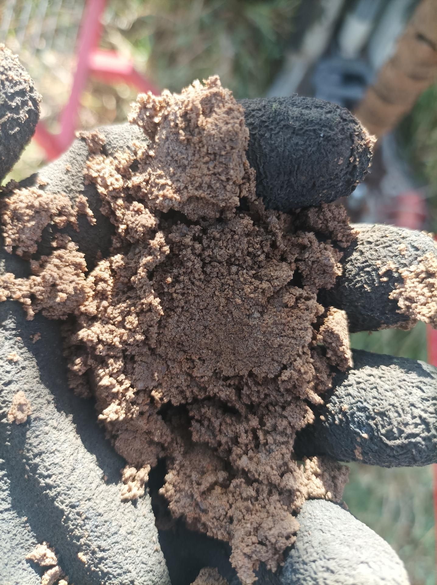 Photo d'illustration 2 sur 16