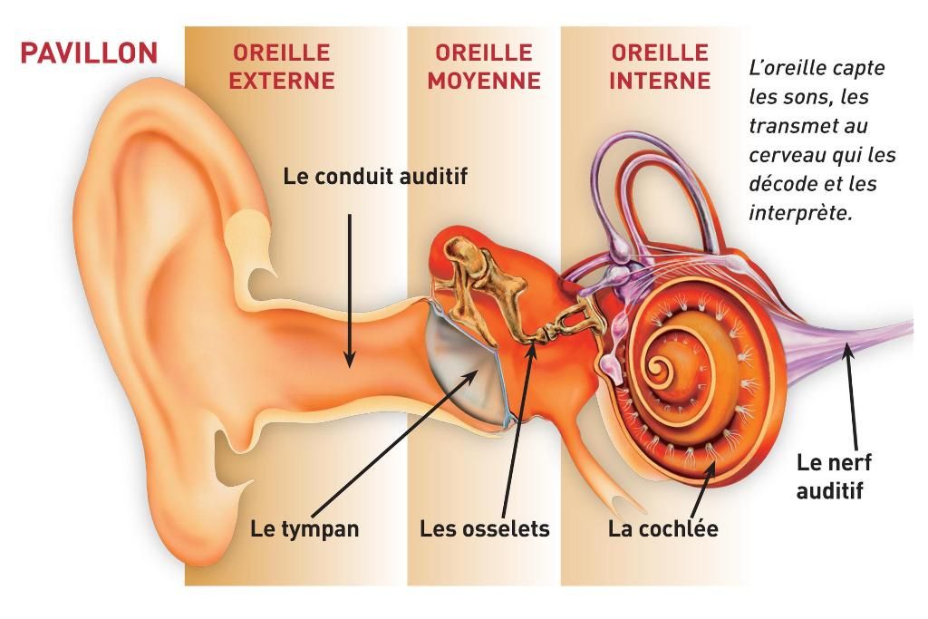 Photo d'illustration 3 sur 8