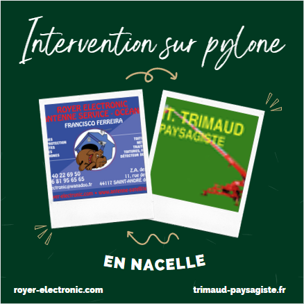 Photo d'illustration 3 sur 12