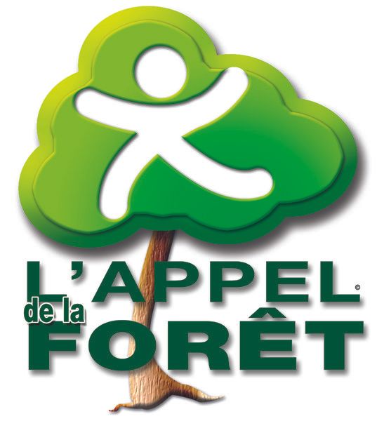 Photo d'illustration 1 sur 8