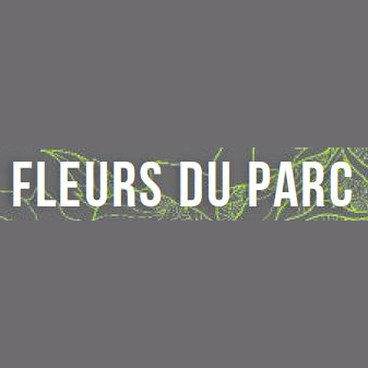 Photo d'illustration 1 sur 11