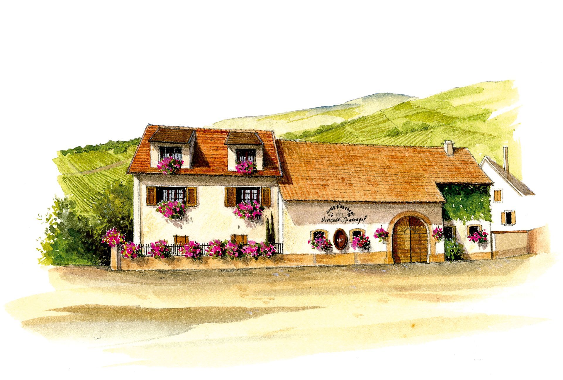 Photo d'illustration 1 sur 6