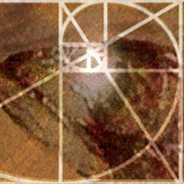 Photo d'illustration 1 sur 1