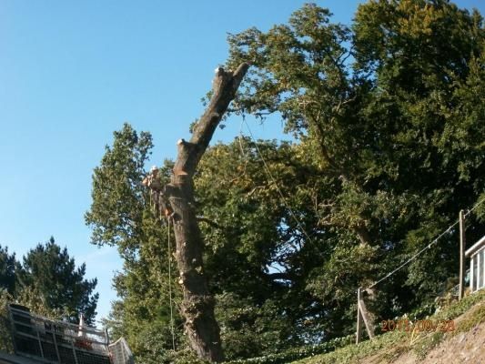 Photo d'illustration 2 sur 6