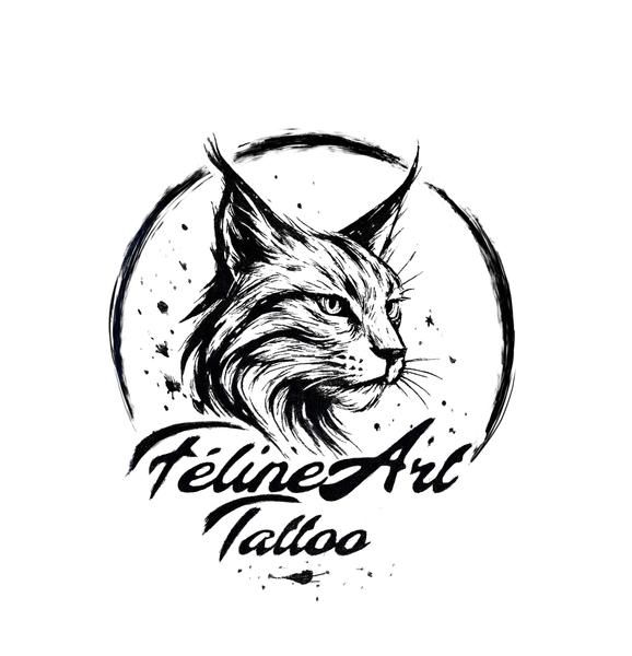 Photo d'illustration 1 sur 12