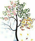 Photo d'illustration 1 sur 2