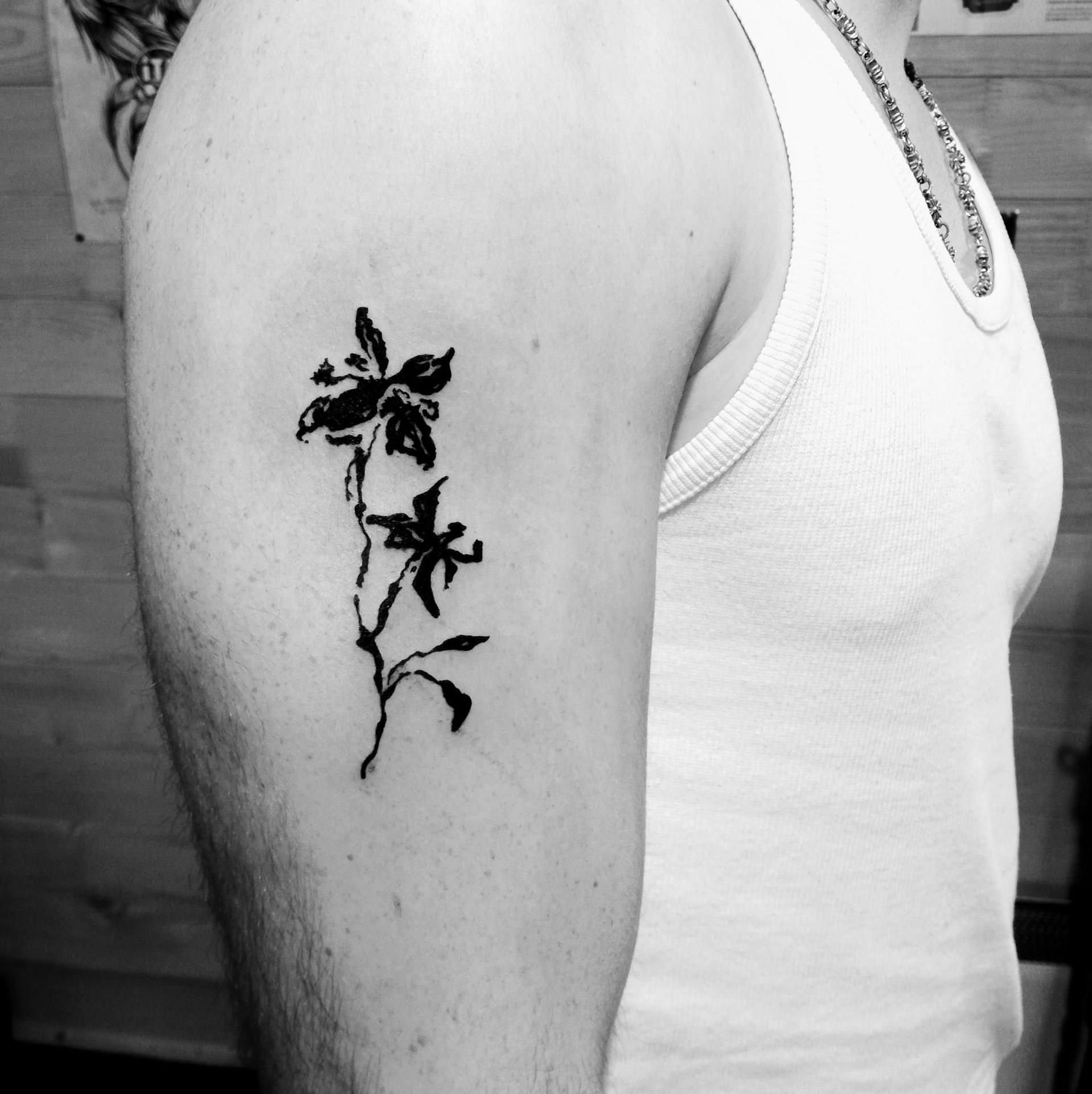 Photo d'illustration 2 sur 11