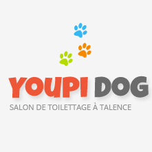 Photo d'illustration 4 sur 29