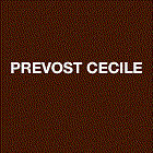 Photo d'illustration 1 sur 1