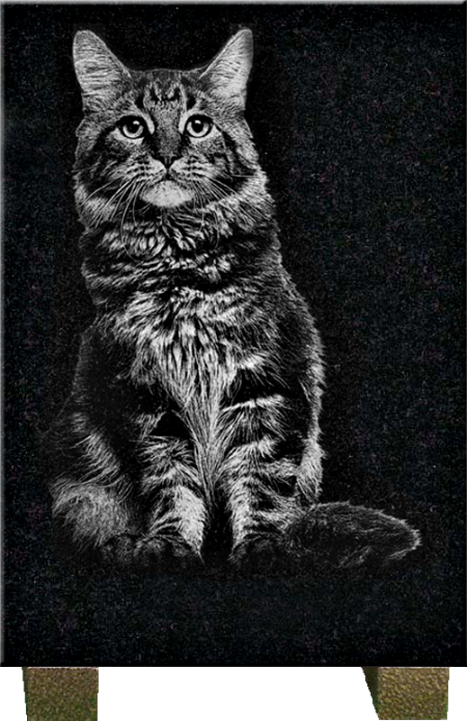 Photo d'illustration 3 sur 8