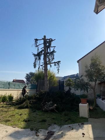 Photo d'illustration 4 sur 34