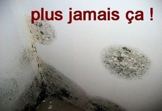 Photo d'illustration 4 sur 6