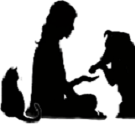 Photo d'illustration 1 sur 2