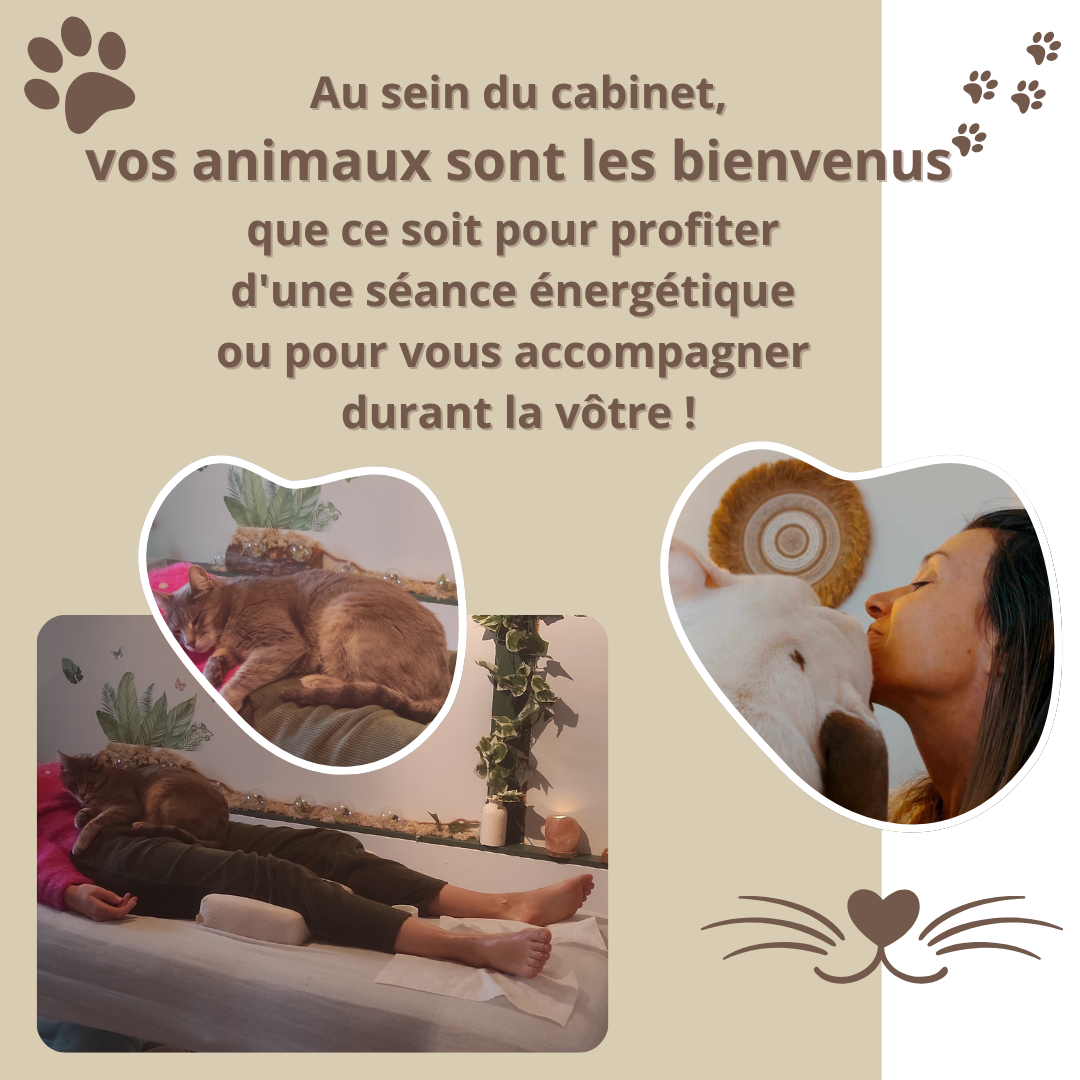 Photo d'illustration 2 sur 10